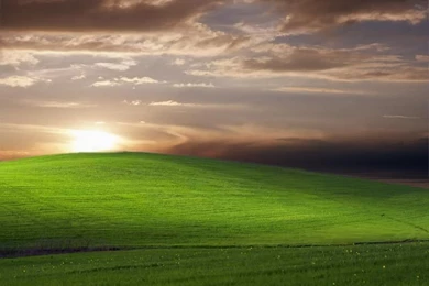 Gertz Blog: Bliss Wallpapers