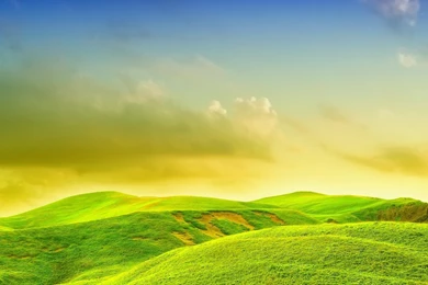 Bliss >> HD Wallpaper, Get It Now!