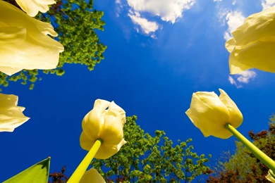 Cool Wallpapers For Desktop 1920×1080   HD Great Images