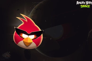 Angry Birds Space Wallpapers