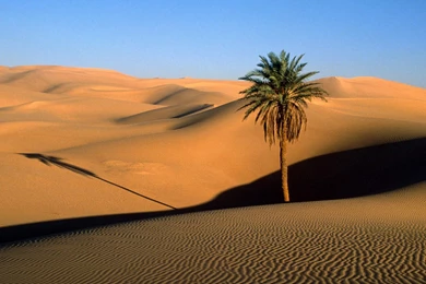 Desert Sand Dunes Wallpaper Images