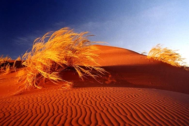Download Desert Sand Dunes Wallpapers Stock Pictures