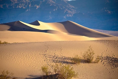 Mountains Landscapes Desert California Death Valley Sand Dunes ...