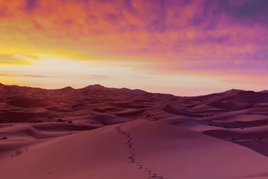 Desert Sand Dunes Wallpapers 288 1920x1080   UMad.com