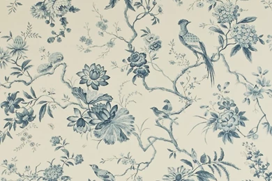 Elegant Toile Wallpapers Ideas