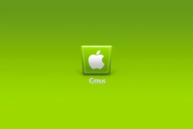 Computers: Green Apple iPhone HD Wallpapers For High Resolution HD ...