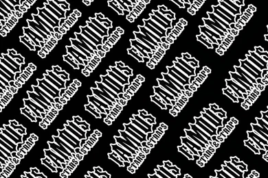 Skateboarding Wallpapers » Famous Stars And Straps 11