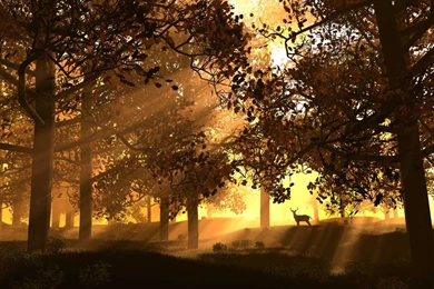 Cool Wallpapers For Computer   Wallpapers HD Base