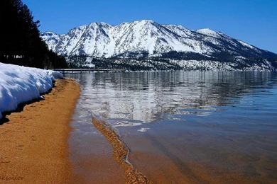 Nature Beach Lake Tahoe Widescreen Wallpapers