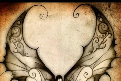 Butterflies Butterfly Wings Fairies Wallpapers   (