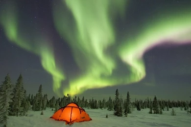 Aurora Borealis 1680x1050 Wallpapers – Nature Forests HD Desktop ...