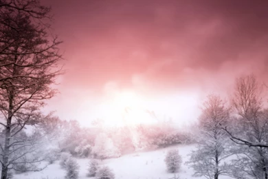 Pink Nature Wallpapers   Widescreen HD Wallpapers