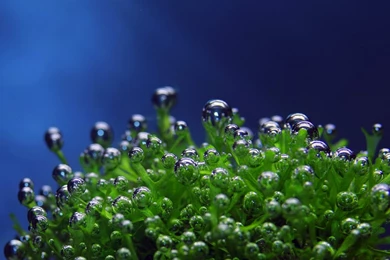 3d underwater wallpapers