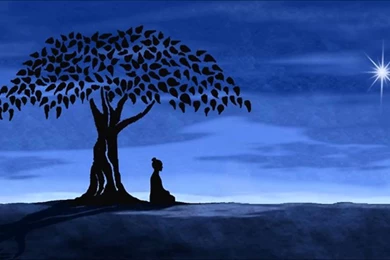 Progressive PsyTrance Mix May 2013   YouTube