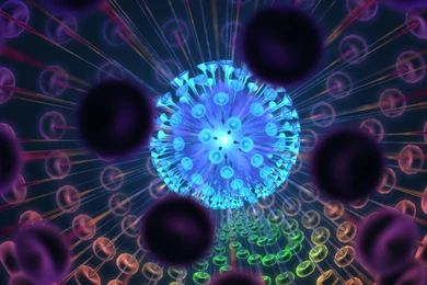 Index Of /images/wallpapers