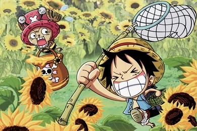 One Piece Wallpapers
