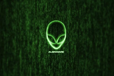 Spiderman Wall 1280x1024 Wallpapers High Quality Wallpapers,High ...