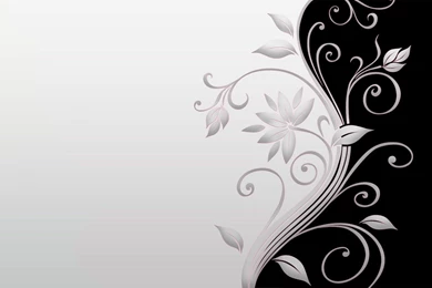 Black And White Minimalistic Flowers Leaves Design Simple ...