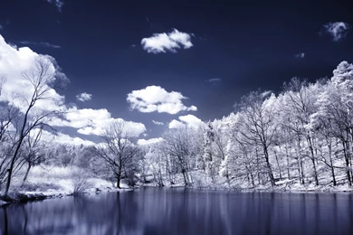 Winter Wallpapers Free Download 44146 HD Wallpapers