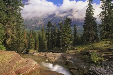 Mountain Stream Glacier National Park Montana.jpg
