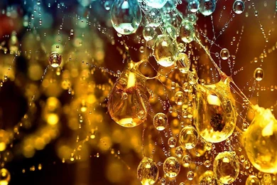 Amazing Android Wallpapers HD Collections Free Download