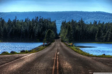 Road In Yellowstone, Montana HD Desktop Wallpapers : High ...