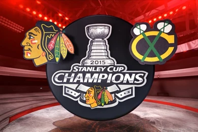 NHL Chicago Blackhawks Stanley Cup Champions 2015 Wallpapers HD ...