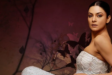 Most Popular Hot And Sexy Sushmita Sen HD Wallpapers For Free ...