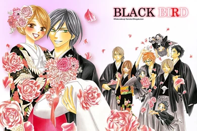 Wallpapers   Black Bird   ブラックバード   Wallpapers (34162021 ...