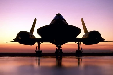 Blackbird Wallpapers