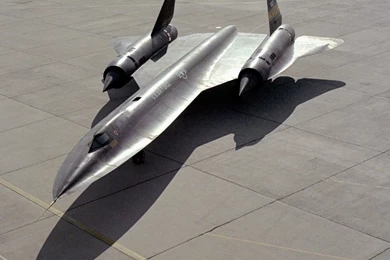 Blackbird Wallpapers   Wallpapers Cave