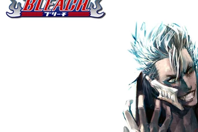 Download Mobile Wallpaper: Cartoon, Anime, Bleach, Free. 10722.