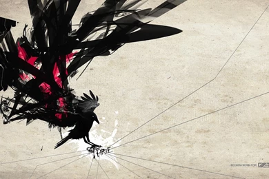 Blackbird Wallpapers For /3