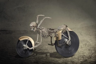 Wallpapers Weird Motorbike   1800 X 1433   Strange Funny Weird ...