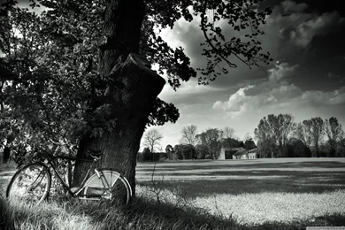 Bike HD Desktop Wallpapers : Widescreen : High Definition ...