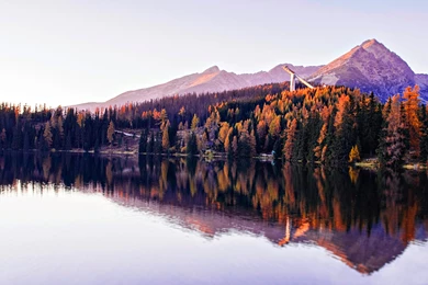 Wallpapers Archives   Tails Of Wonders