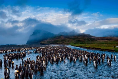 PHOTOGRAPHY] National Geographic Wallpapers   ART FOR YOUR WALLPAPER