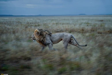 Photography   Desktop Wallpapers   National Geographic Magazine