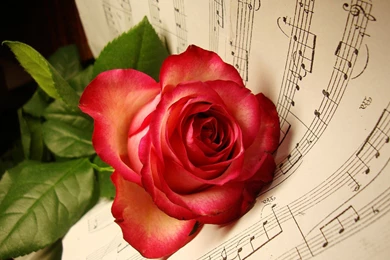 Music Was My First Love Wallpapers