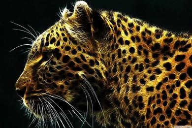 Purple Cheetah Wallpapers   Wallpapers Zone