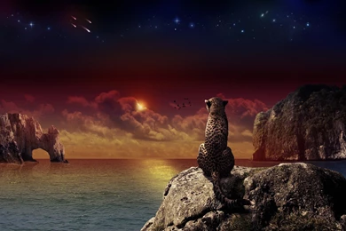 Download The Cheetah Fantasy Wallpaper, Cheetah Fantasy iPhone ...