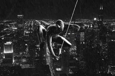 2560x1600 ⇔ Spiderman Backgrounds Wallpapers