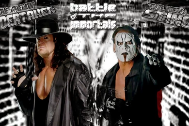 Undertaker Vs Sting New HD Wallpapers   Wrestling Wallpapers