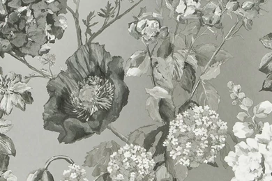 Alexandria Wallpapers By Designers Guild