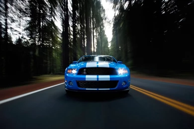 Shelby GT500