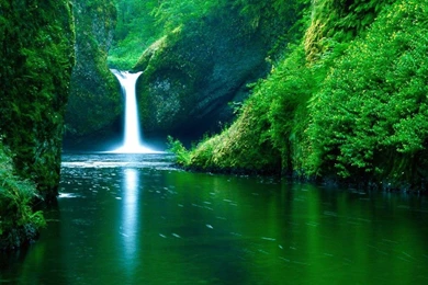 Punch Bowl Falls Amazing Green Forest HD Wallpapers Wallpapers ...