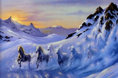 Horses 1920x1200 Wallpapers – Animals Horses HD Desktop Wallpapers