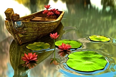 Boat In Water Lilies Pond Wallpaper,calm HD Wallpaper,lily Pads HD ...