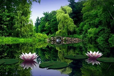 Nature Water Wallpapers