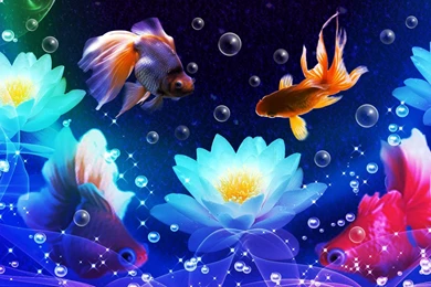 Fishing For Water Lilies >> HD Wallpaper, Get It Now!